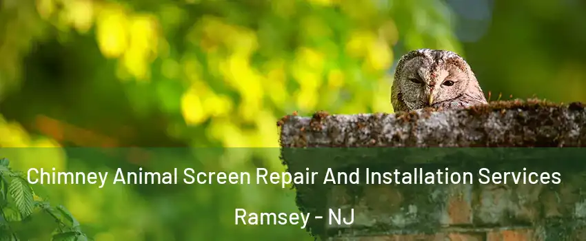  Chimney Animal Screen Repair And Installation Services Ramsey - NJ