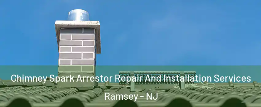  Chimney Spark Arrestor Repair And Installation Services Ramsey - NJ