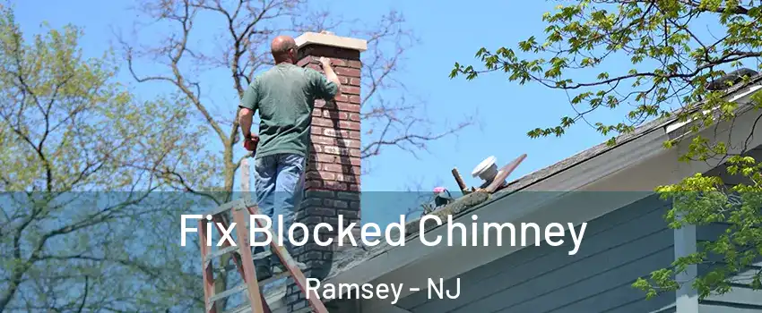  Fix Blocked Chimney Ramsey - NJ