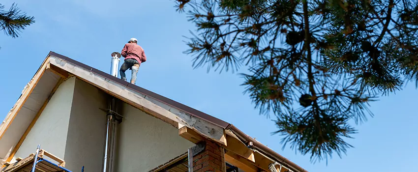 Birds Removal Contractors from Chimney in Ramsey, NJ