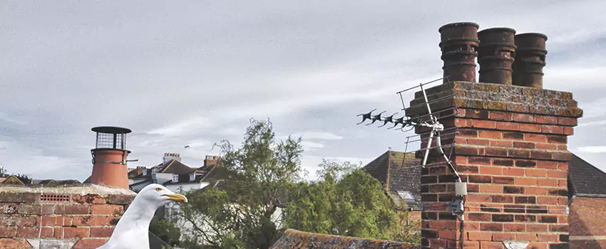 Chimney Cleaning And Restoration in Ramsey, New Jersey